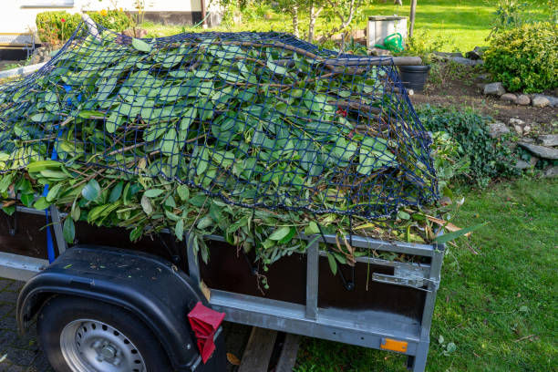 Best Shed Removal  in Sebastian, TX